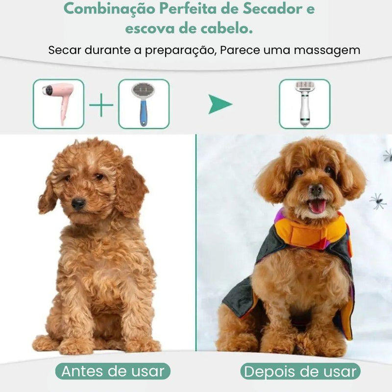 Pet secador de cabelo 2 em 1, com escova Slicker, profissional . - Truly Shop 